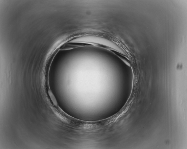 X0000098230101200805081231