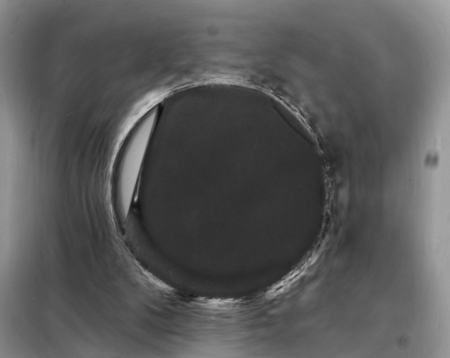 X0000098230104200805081231