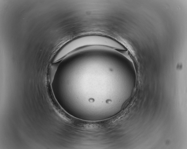 X0000098230105200805081231