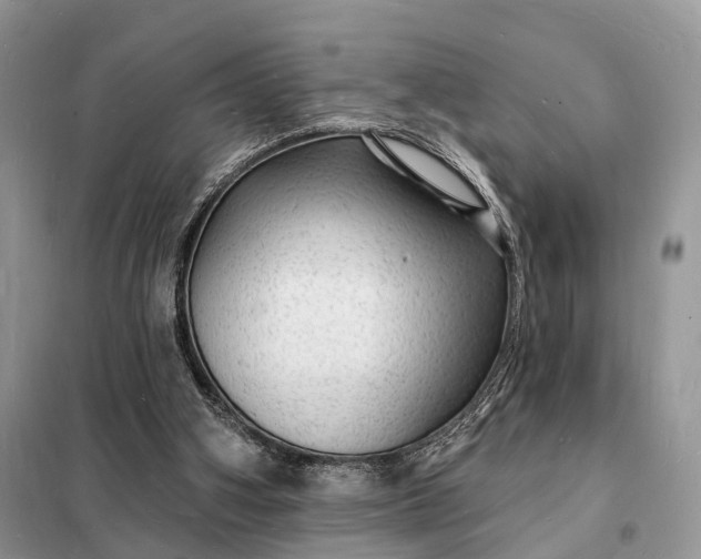 X0000098230106200805081231