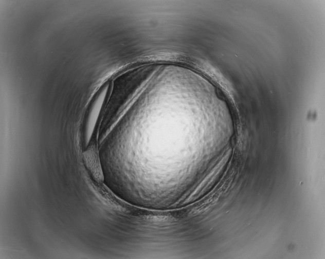 X0000098230107200805081231