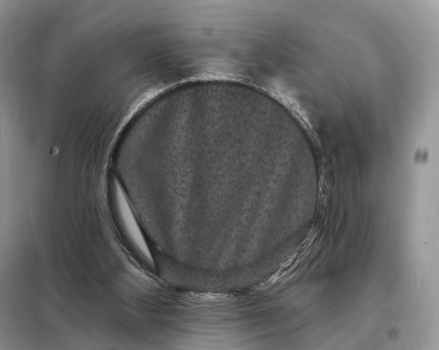 X0000098230108200805081231