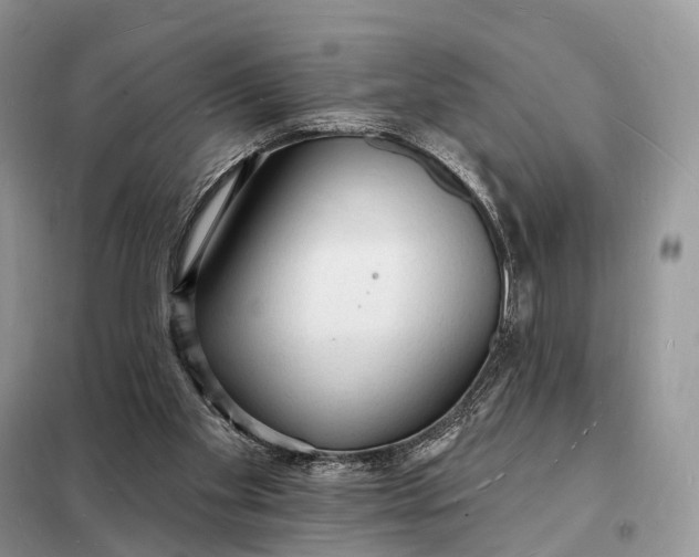 X0000098230109200805081231