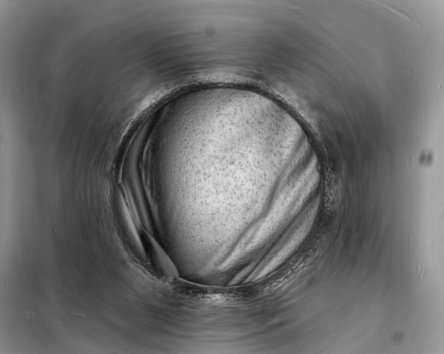 X0000098230111200805081231