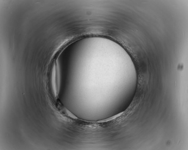 X0000098230112200805081231