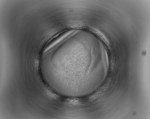 X0000098230113200805081231