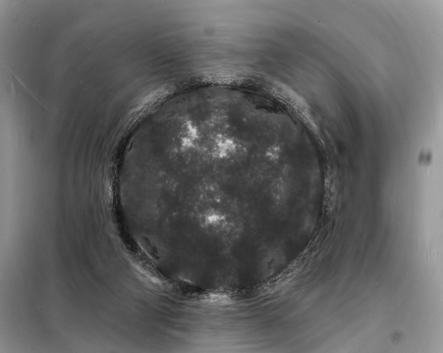 X0000098230114200805081231