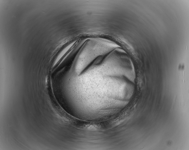 X0000098230115200805081231