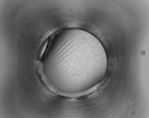 X0000098230116200805081231