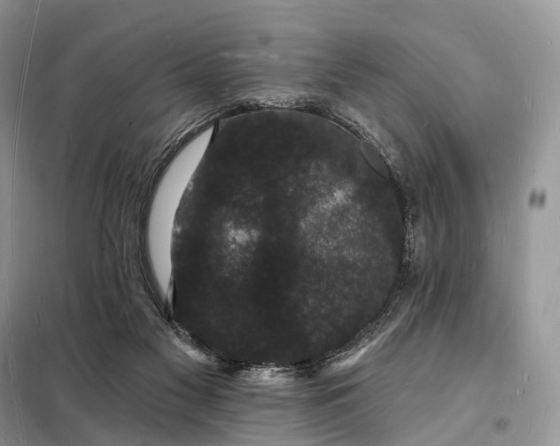 X0000098230117200805081231