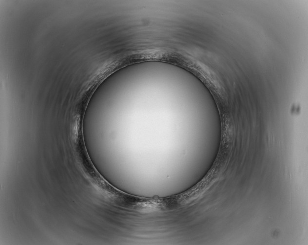 X0000098230118200805081231