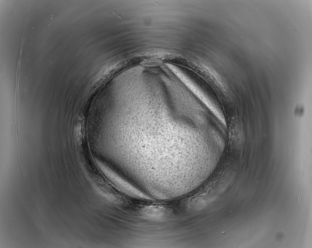 X0000098230119200805081231