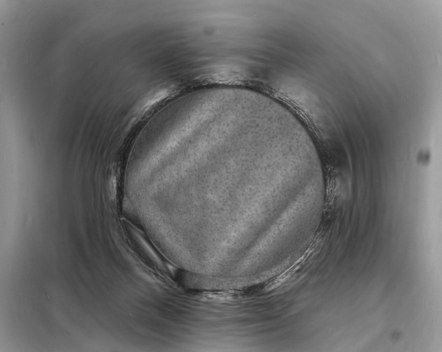 X0000098230120200805081231