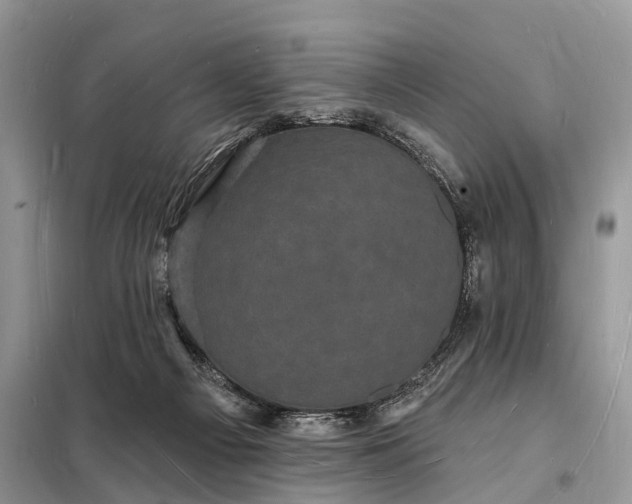 X0000098230121200805081231