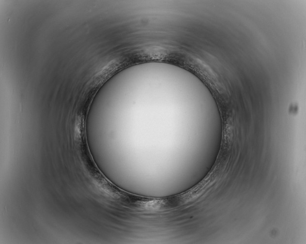 X0000098230122200805081231