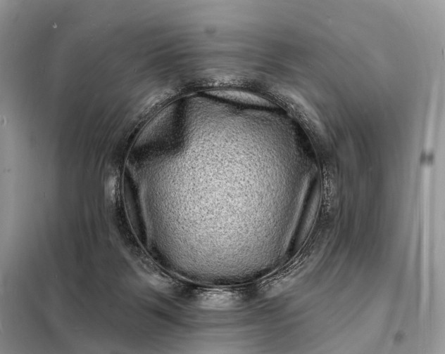 X0000098230123200805081231