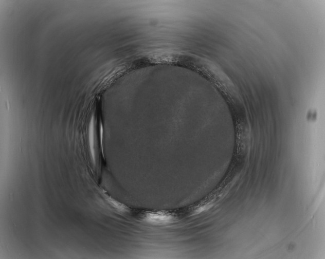 X0000098230125200805081231