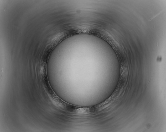 X0000098230126200805081231