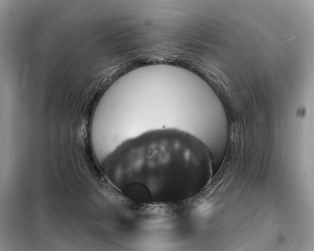 X0000098230127200805081231