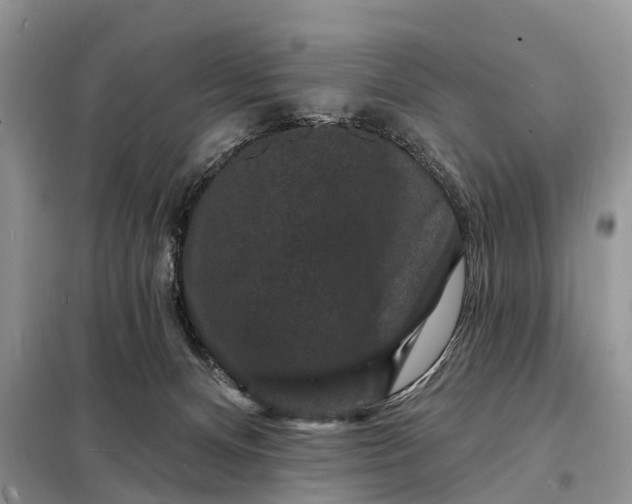 X0000098230128200805081231