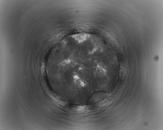 X0000098230130200805081231