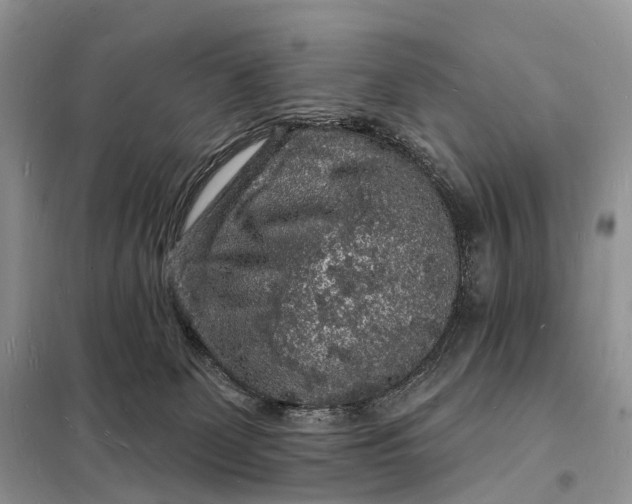 X0000098230131200805081231