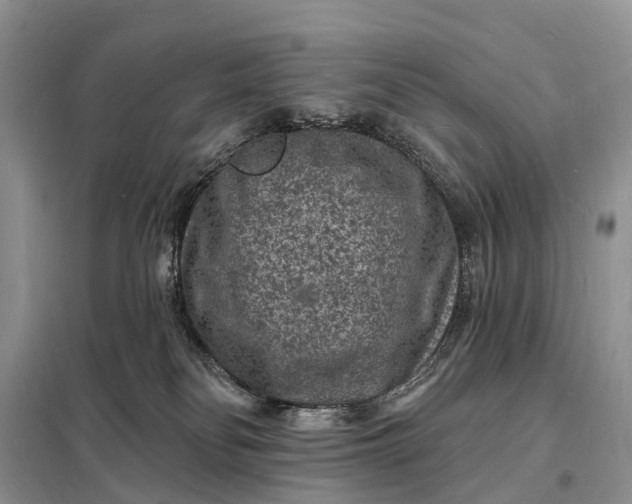 X0000098230134200805081231