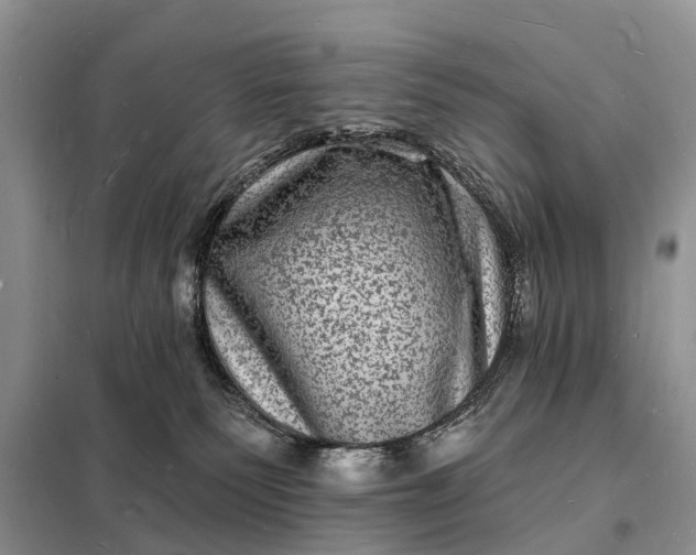 X0000098230135200805081231