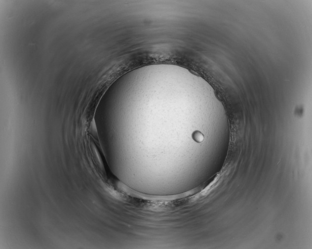 X0000098230136200805081231