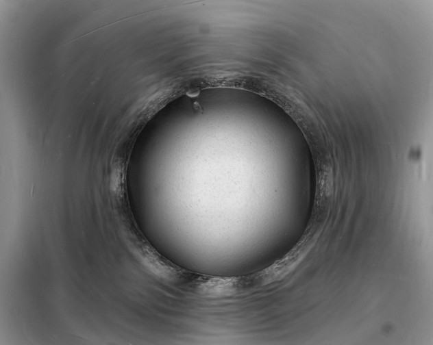 X0000098230138200805081231