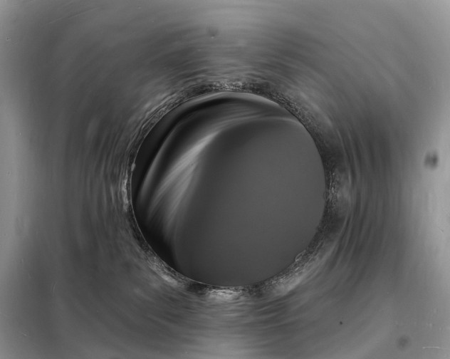 X0000098230139200805081231