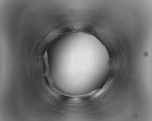 X0000098230140200805081231