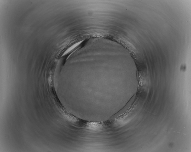 X0000098230141200805081231