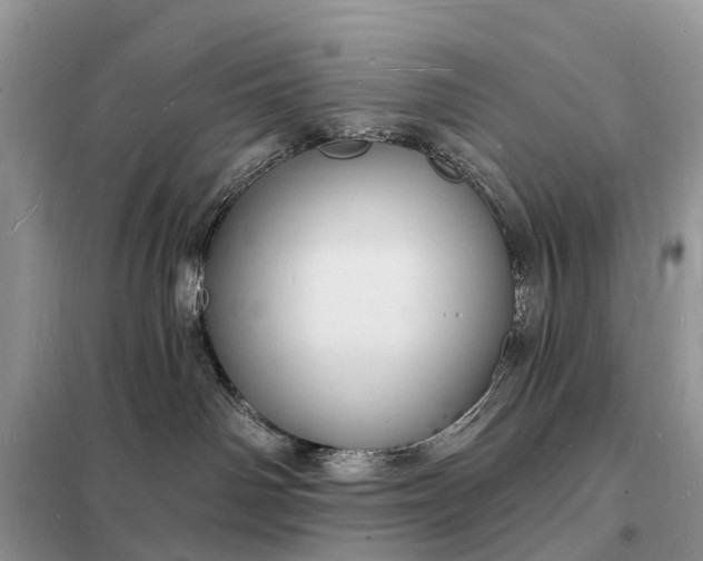 X0000098230142200805081231