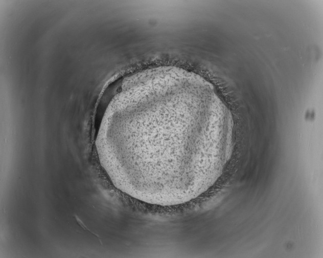 X0000098230144200805081231