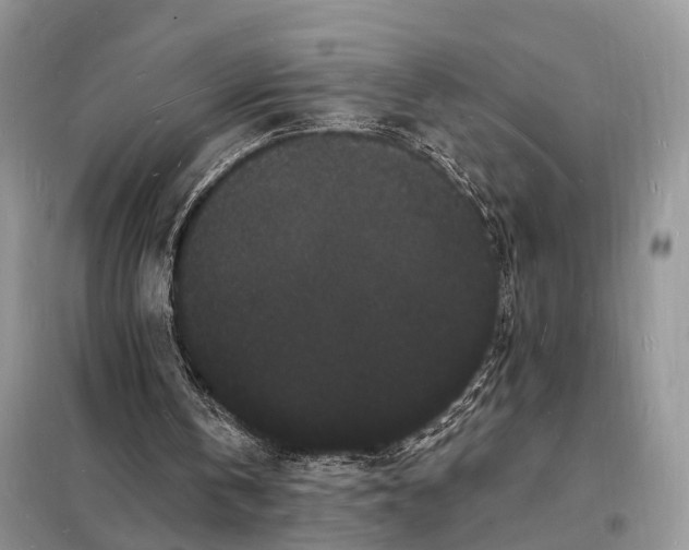 X0000098230146200805081230