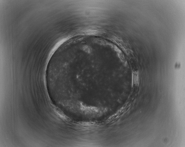 X0000098230147200805081230