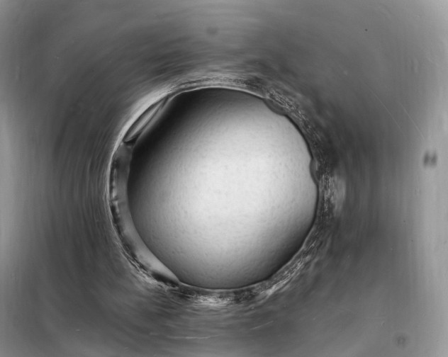 X0000098230148200805081230