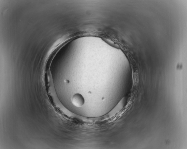 X0000098230150200805081230