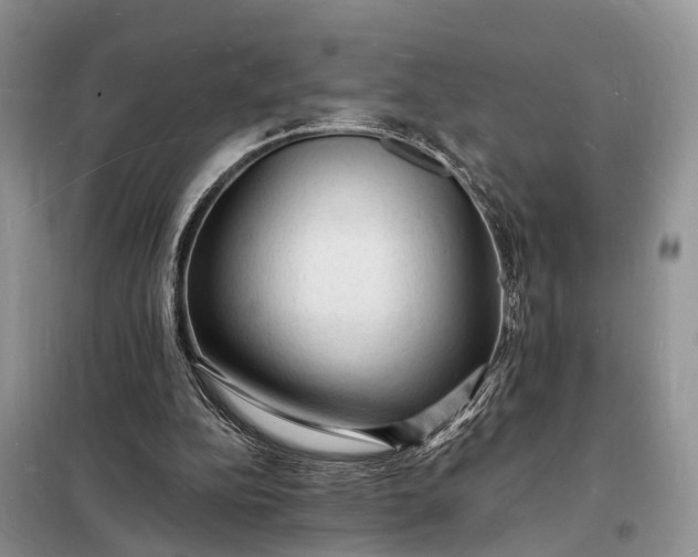 X0000098230152200805081230