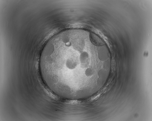 X0000098230153200805081230