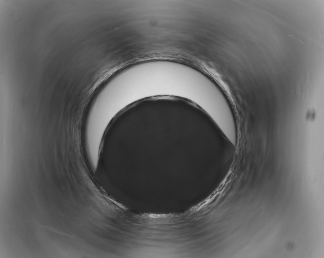 X0000098230154200805081230