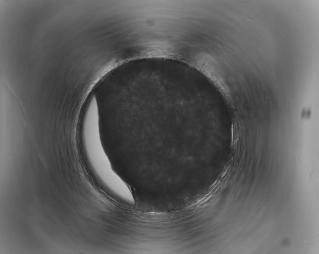 X0000098230156200805081230