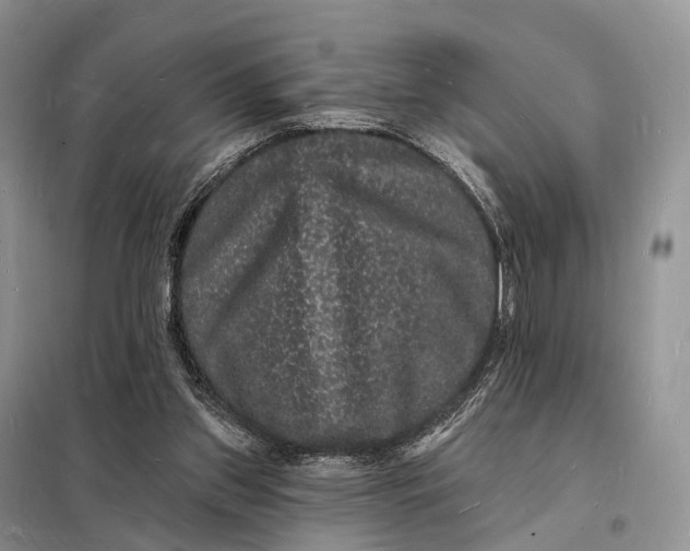 X0000098230157200805081230