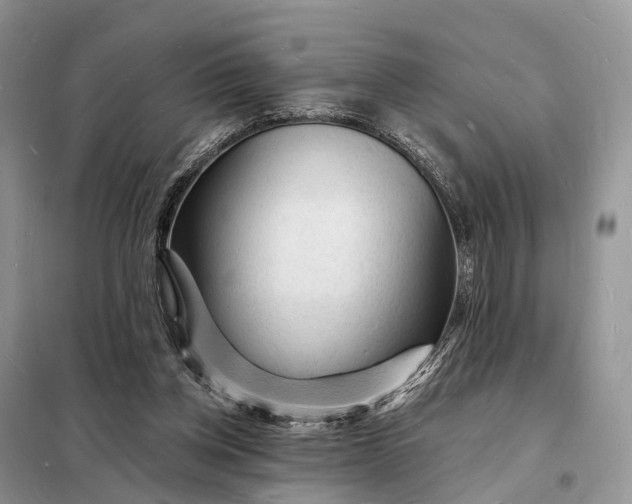 X0000098230158200805081230