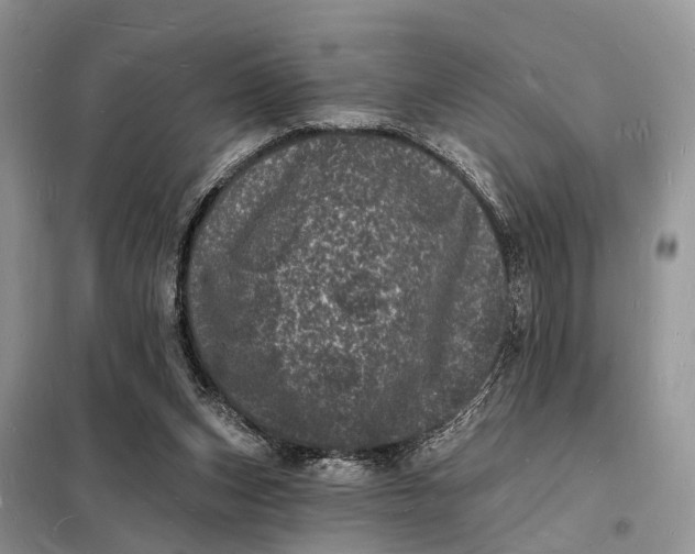 X0000098230159200805081230