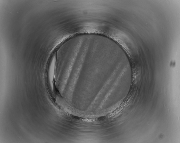 X0000098230160200805081230