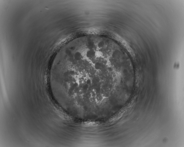 X0000098230161200805081230