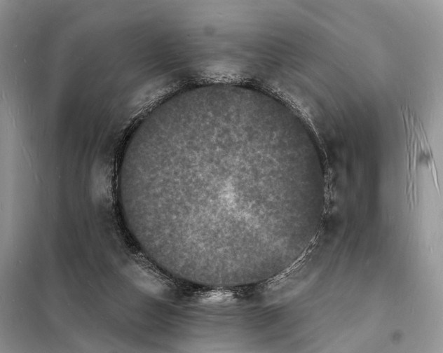 X0000098230162200805081230