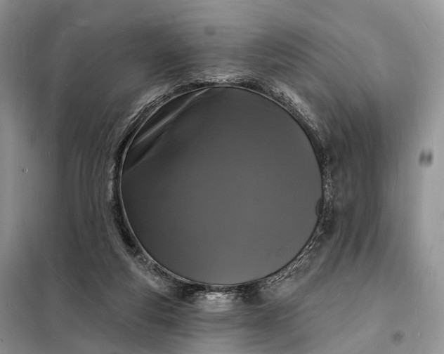 X0000098230163200805081230